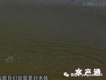 1621669627476778_531.jpg