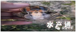1621777028003332_728.jpg