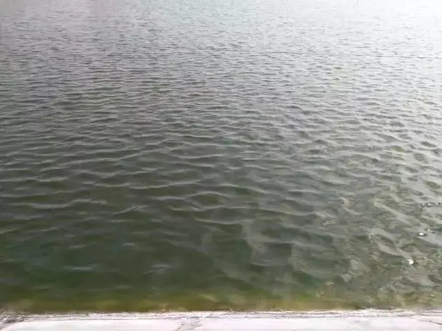 162264747368162_232.jpg