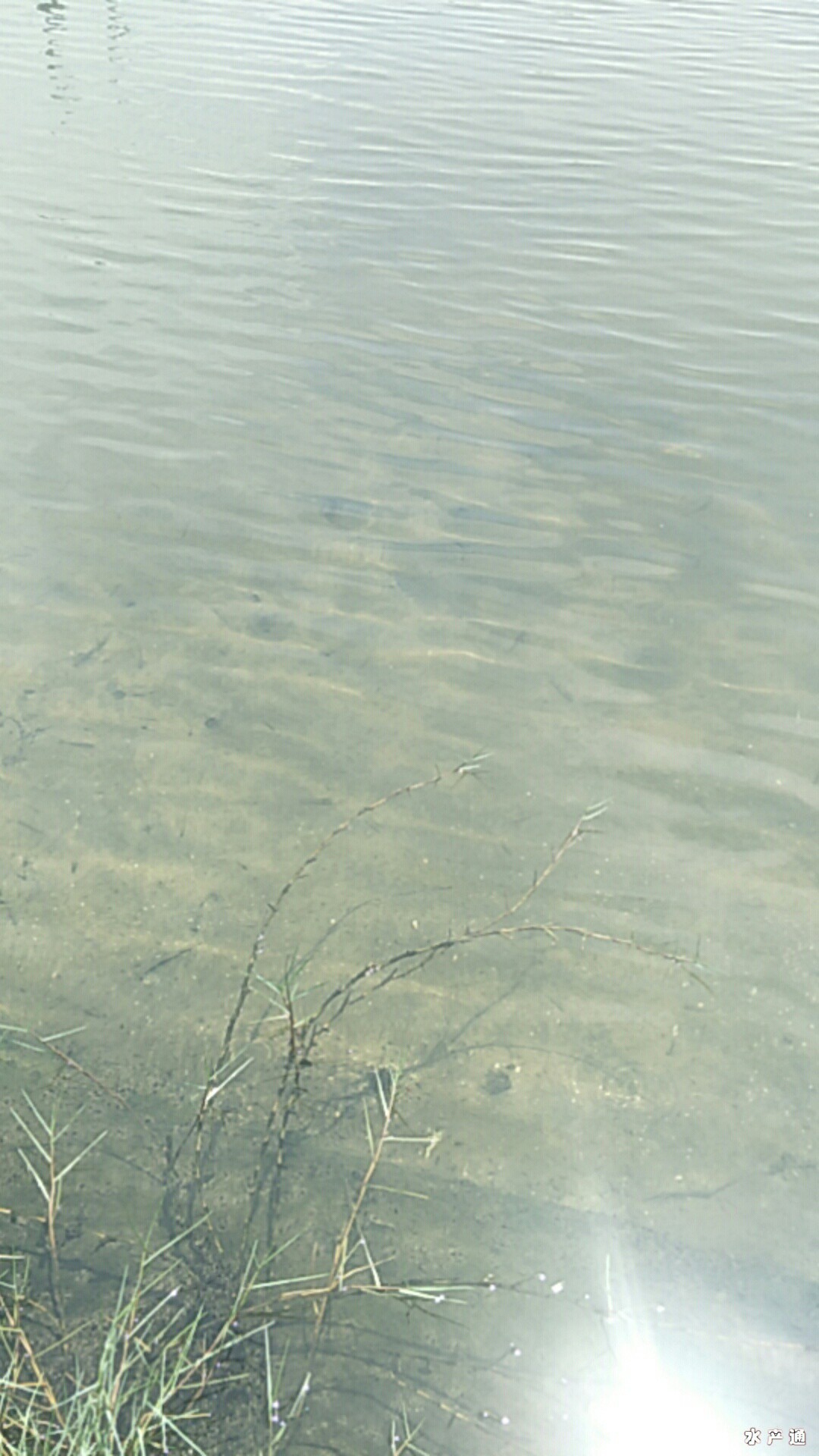 1622699496482679_594.jpg