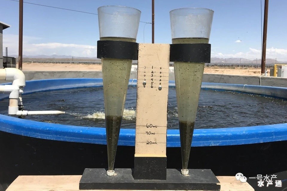 1622967678855205_297.jpg