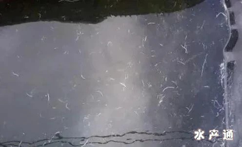 1623217844589117_588.jpg