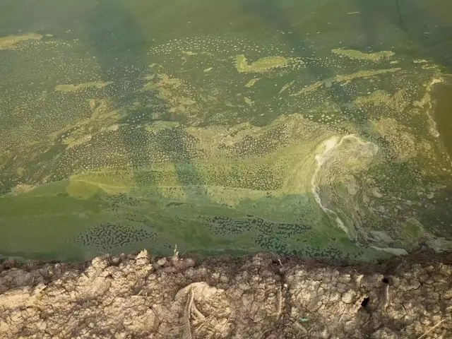 1623583206596947_668.jpg