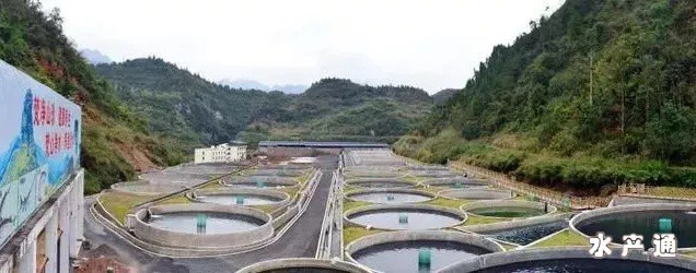 1624359112449644_47.png