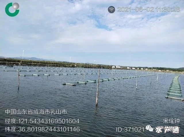 1624366624116310_787.jpg