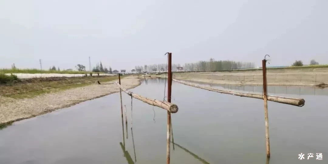 1624503905473435_758.jpg