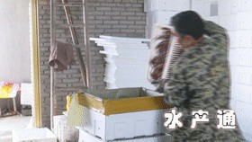 1624766161127318_493.gif