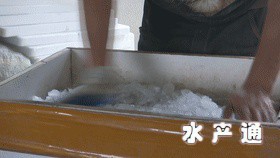 1624766233264231_333.gif
