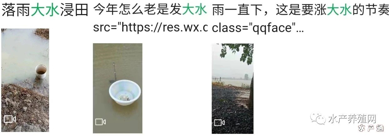1625381887662217_56.jpg