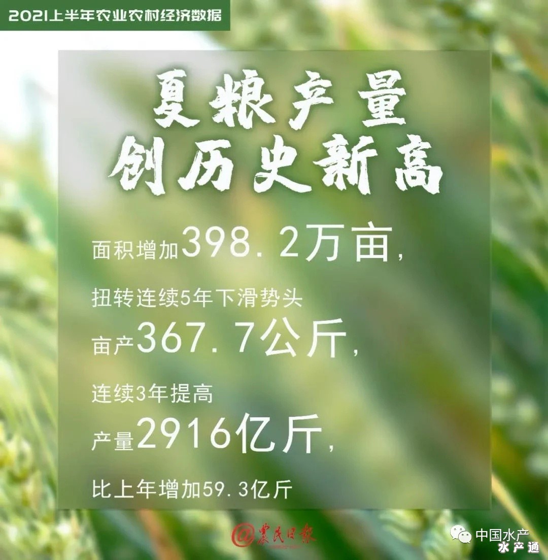 162685992995620_312.jpg