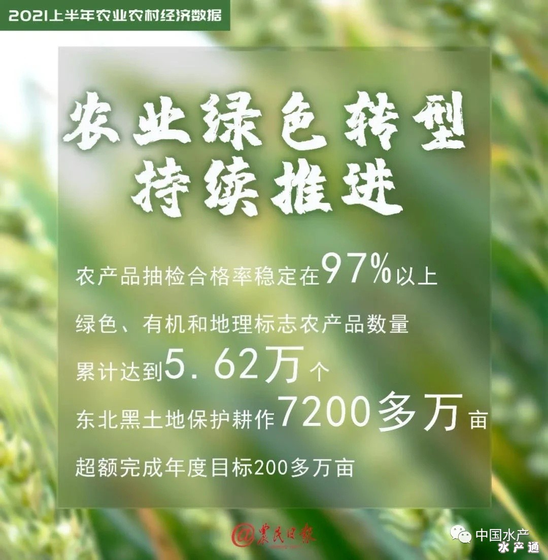 1626859930124171_677.jpg