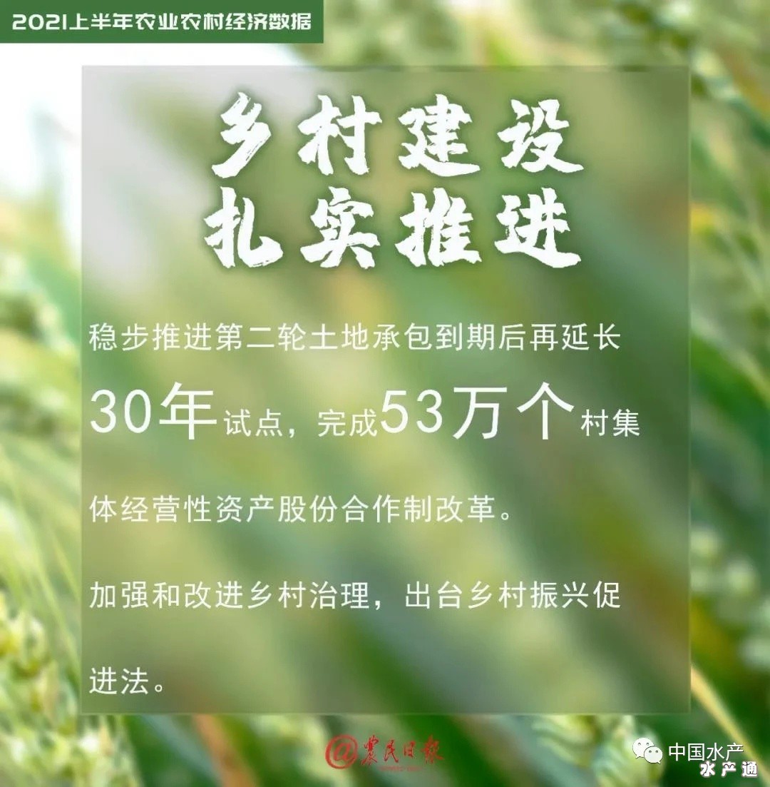 1626859930499528_398.jpg