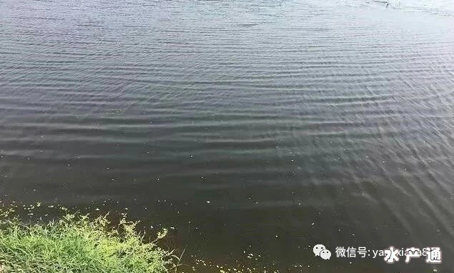 1627231883866497_958.jpg