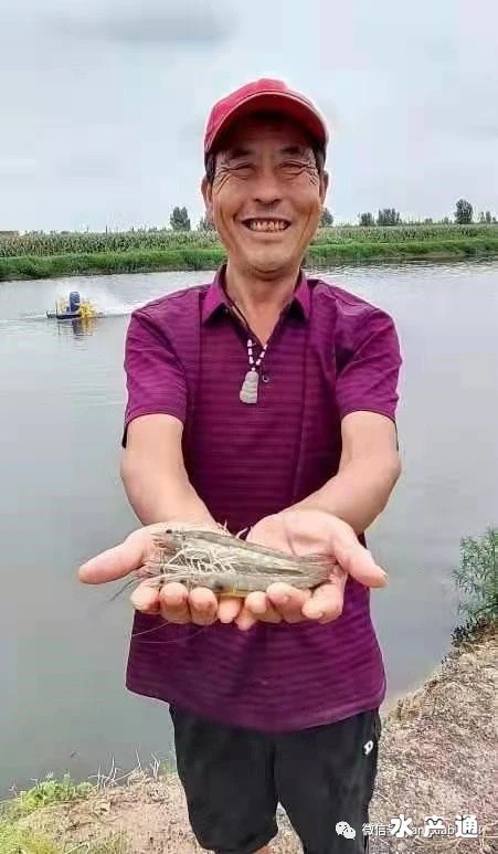 1628059391293271_381.jpg