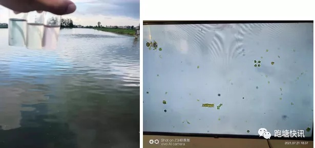 1628783654995905_793.png