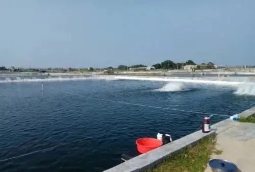 1628846108487336_847.jpg
