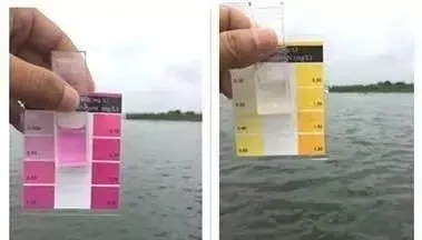 1631067075051992_70.jpg