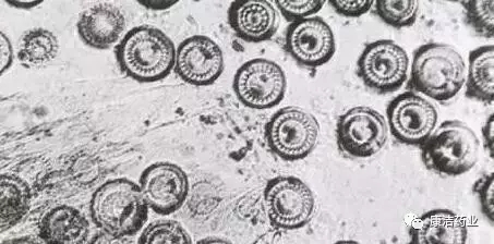 1631322612610394_207.jpg
