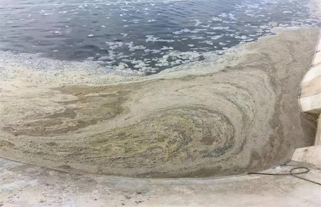 1631440406634431_646.jpg