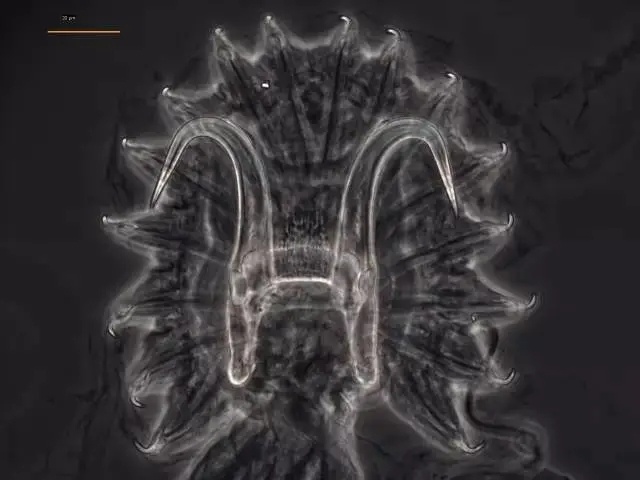 1631607066900679_924.jpg