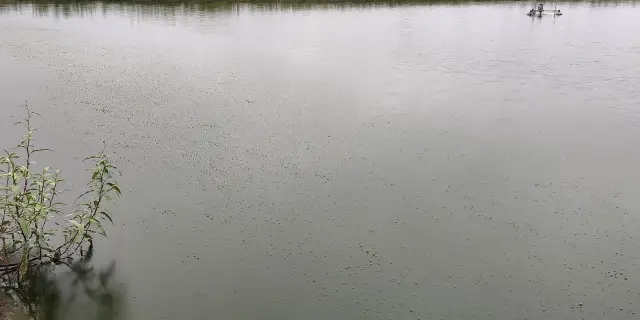 1632049555571210_358.jpg