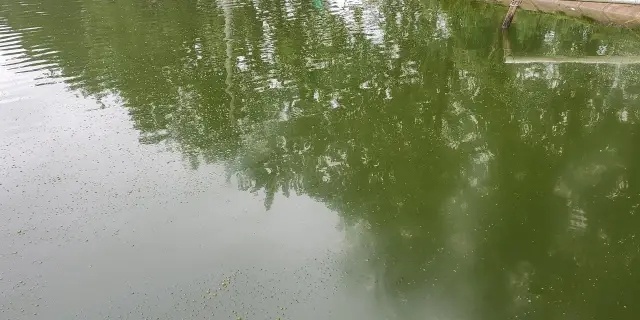 1632049574714322_317.jpg