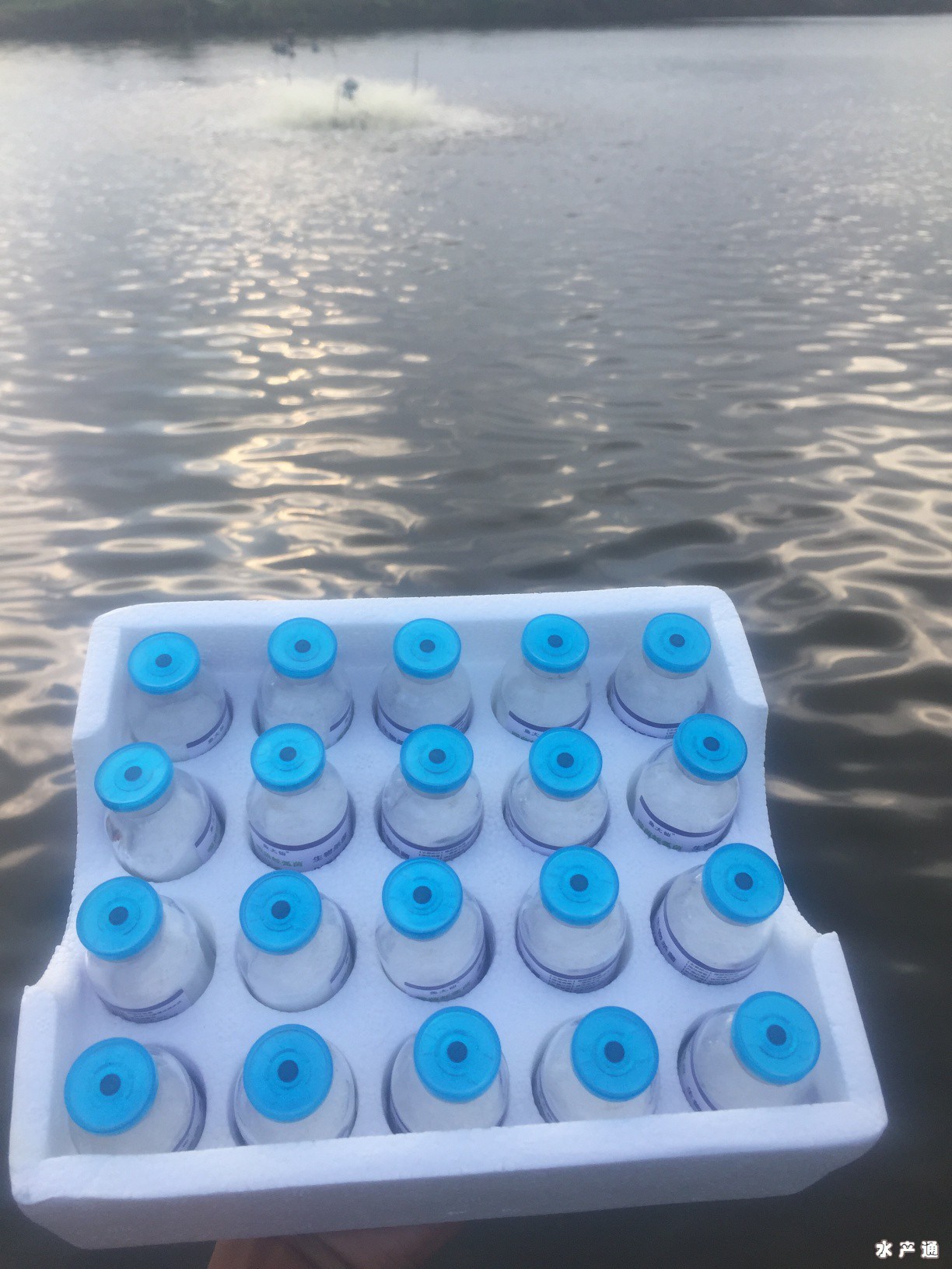 1633437238723634_356.jpg