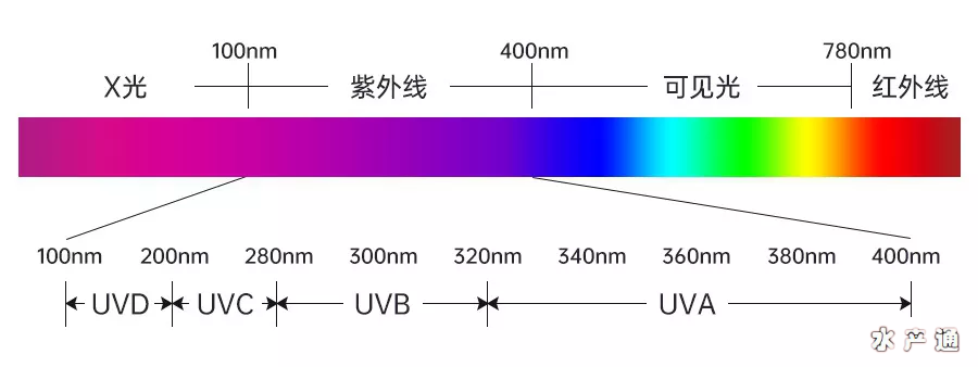 1634035315868663_301.jpg