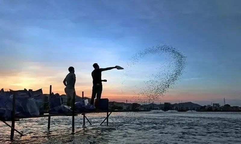 163434492269850_555.jpg
