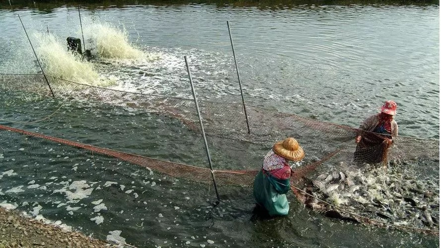 1635120131118969_316.jpg