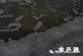 1635568255501780_260.jpg