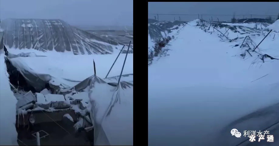 1636968171137366_311.png