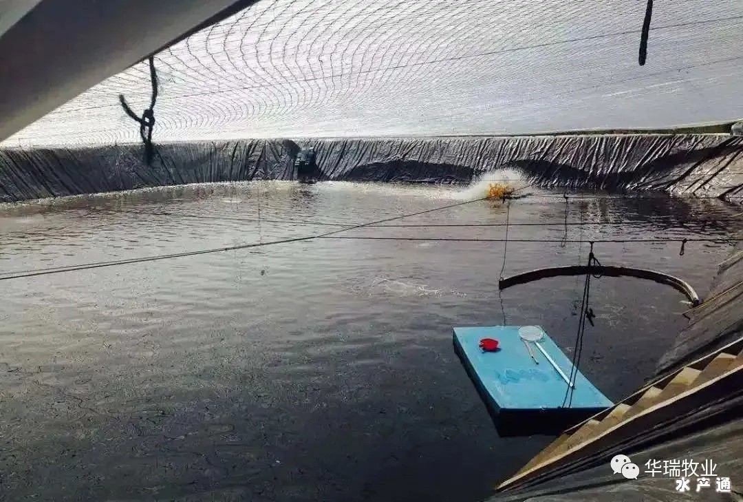 1639642724543129_576.jpg