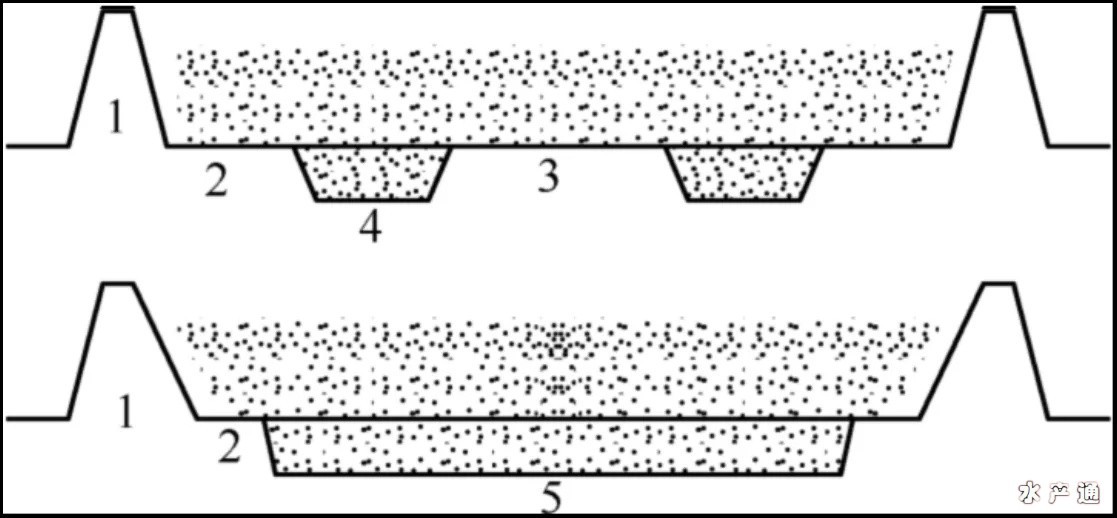 1640043561660277_972.png