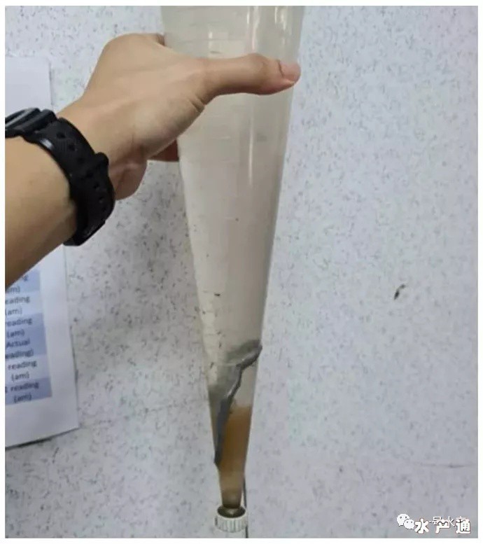 16461966841591_690.png