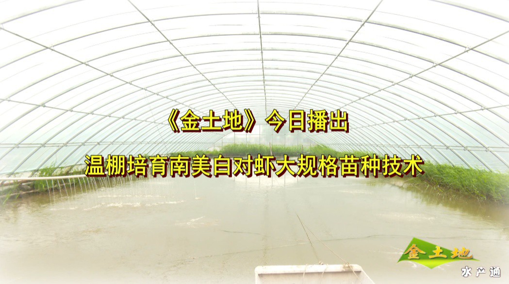 1647047423443312_188.png