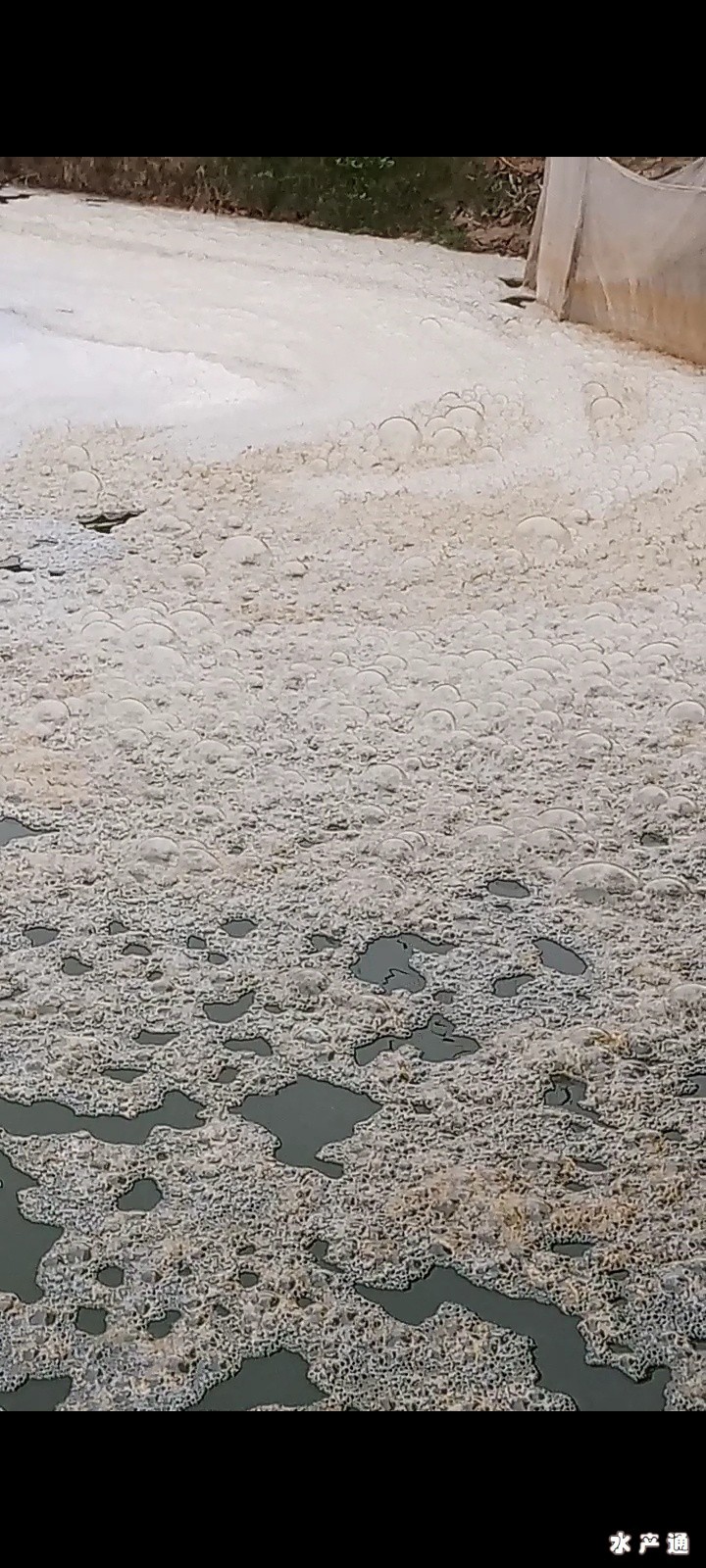 1647959087125909_789.jpg