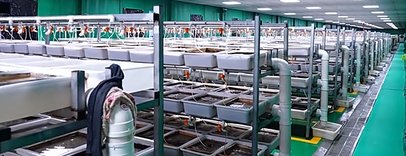 屏幕截图 2025-10-13 155231.png