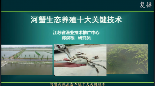 河蟹生态养殖十大关键技术